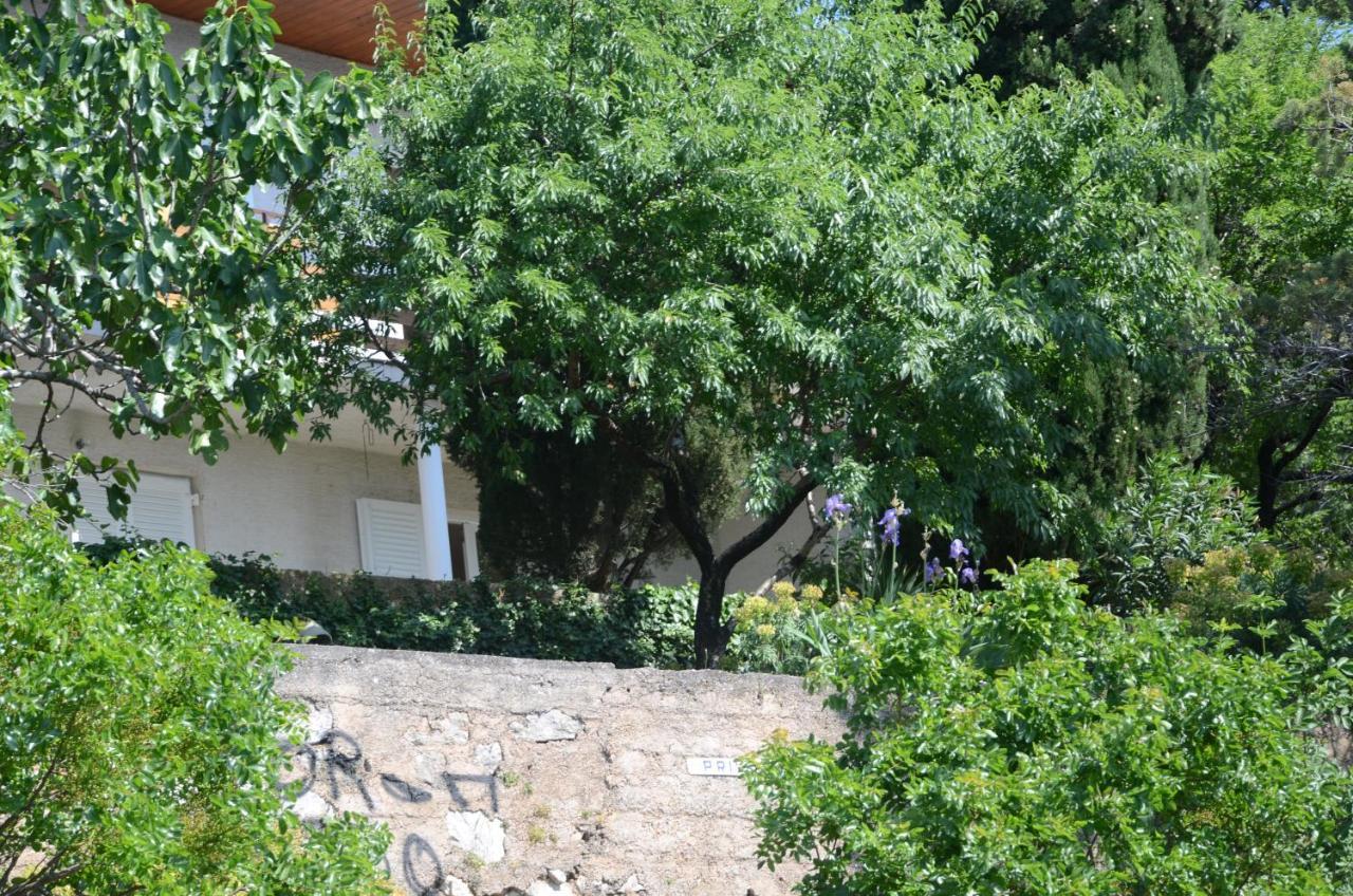 Apartmán Corina & Franco Senj  Exteriér fotografie